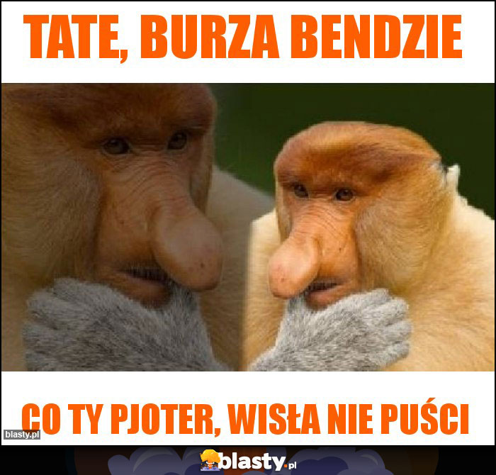 Tate, burza bendzie Tate, burza bendzie