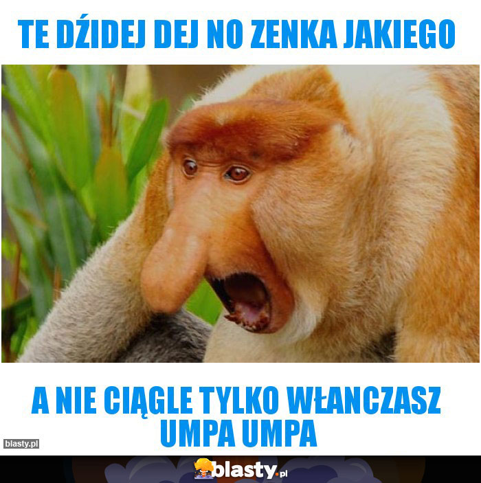 Te dźidej dej no zenka jakiego Te dźidej dej no zenka jakiego