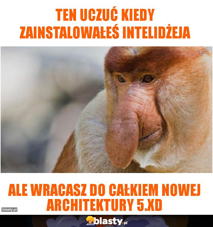 Ten uczuć kiedy zainstalowałeś intelidżeja Ten uczuć kiedy zainstalowałeś intelidżeja