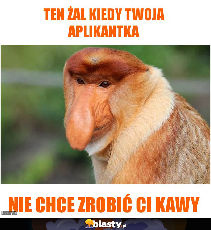 Ten żal kiedy twoja aplikantka Ten żal kiedy twoja aplikantka