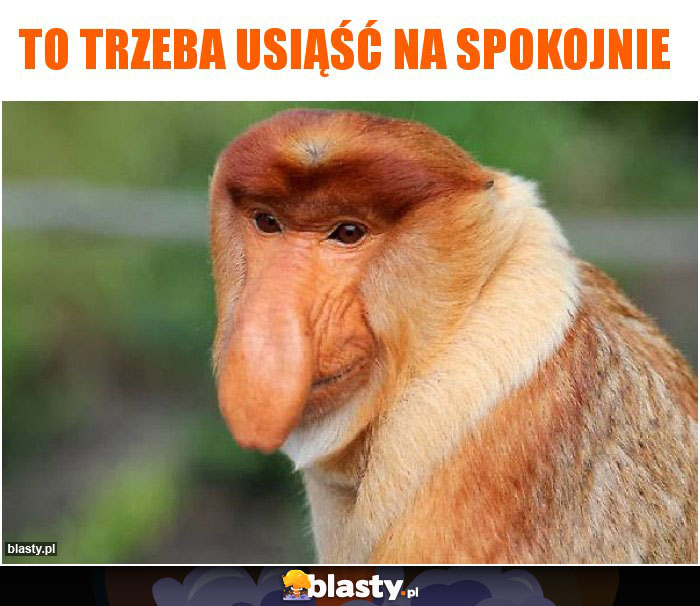 To trzeba usiąść na spokojnie To trzeba usiąść na spokojnie
