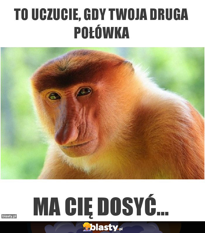 To uczucie, gdy Twoja druga połówka To uczucie, gdy Twoja druga połówka