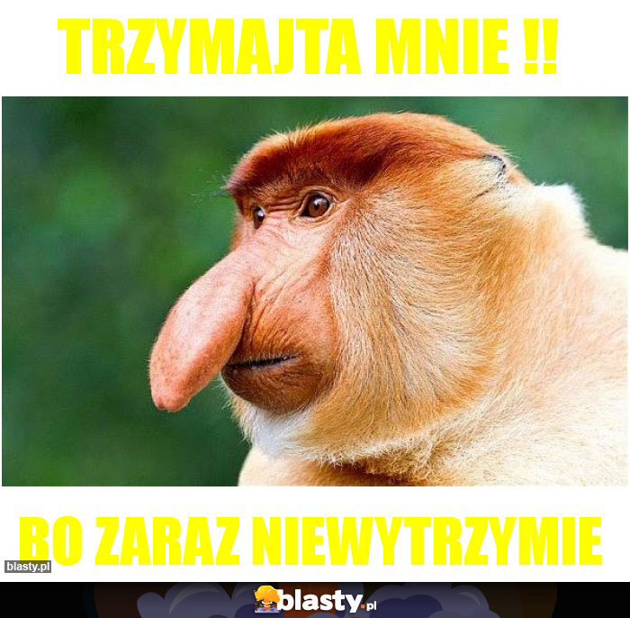 Trzymajta mnie !! Trzymajta mnie !!