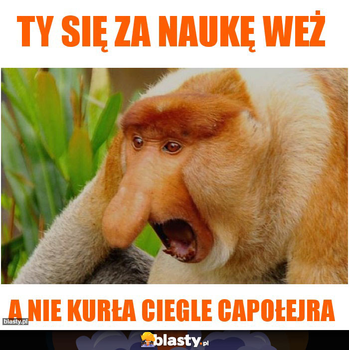 Ty się za naukę weż Ty się za naukę weż