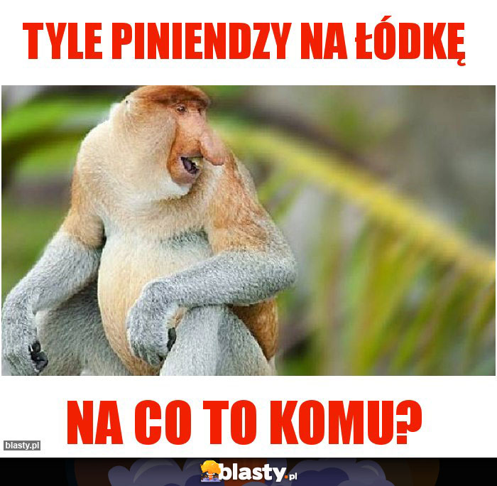 Tyle piniendzy na łódkę Tyle piniendzy na łódkę