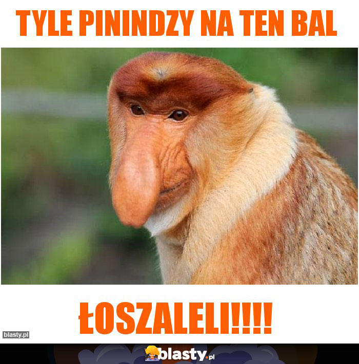 TYLE PININDZY NA TEN BAL TYLE PININDZY NA TEN BAL