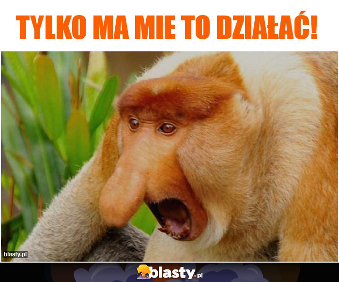 Tylko ma mie to działać! Tylko ma mie to działać!