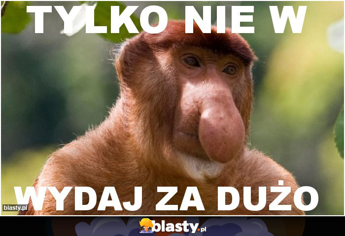 Tylko nie w Tylko nie w