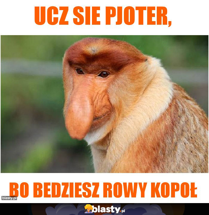 Ucz sie Pjoter, Ucz sie Pjoter,
