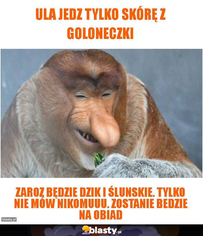 Ula jedz tylko skórę z goloneczki Ula jedz tylko skórę z goloneczki