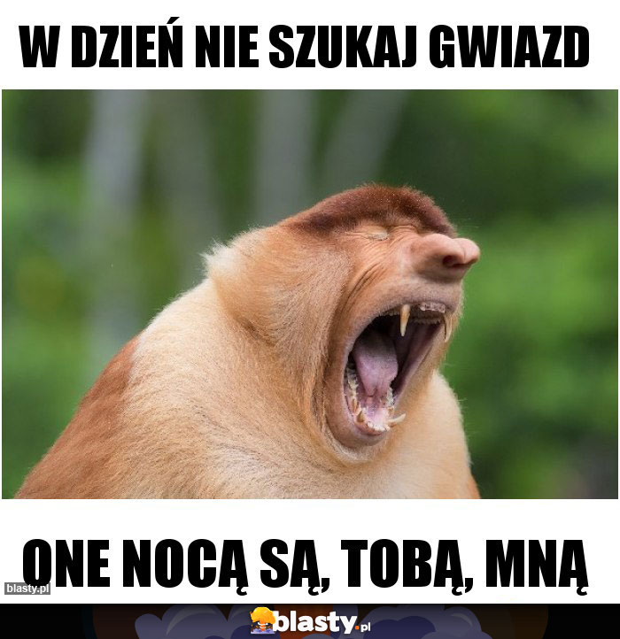 W Dzień Nie Szukaj Gwiazd Tekst