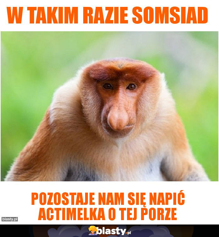 W takim razie somsiad W takim razie somsiad