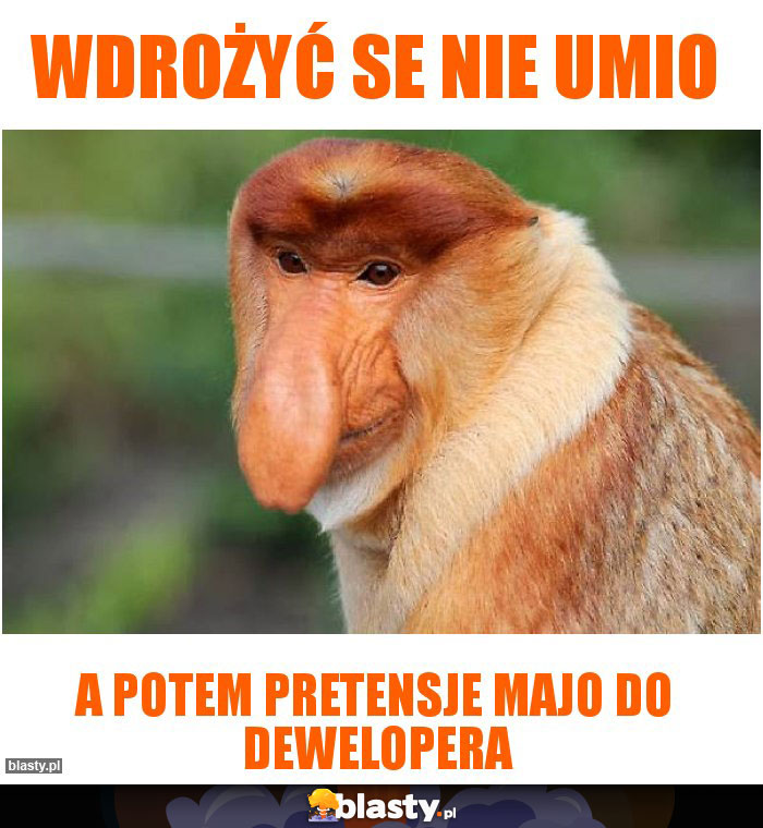 wdrożyć se nie umio wdrożyć se nie umio