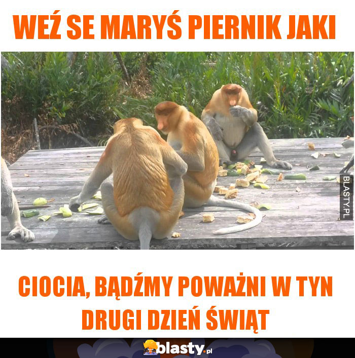 Weź se maryś piernik jaki Weź se maryś piernik jaki