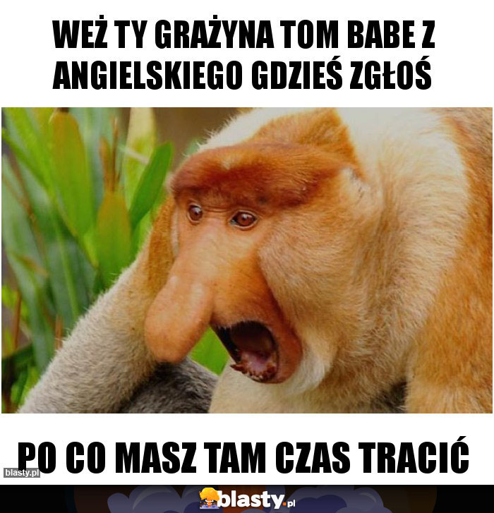WEŻ TY GRAŻYNA TOM BABE Z ANGIELSKIEGO GDZIEŚ ZGŁOŚ WEŻ TY GRAŻYNA TOM BABE Z ANGIELSKIEGO GDZIEŚ ZGŁOŚ