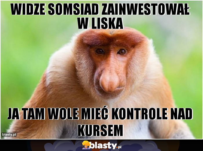WIDZE SOMSIAD ZAINWESTOWAŁ W LISKA WIDZE SOMSIAD ZAINWESTOWAŁ W LISKA