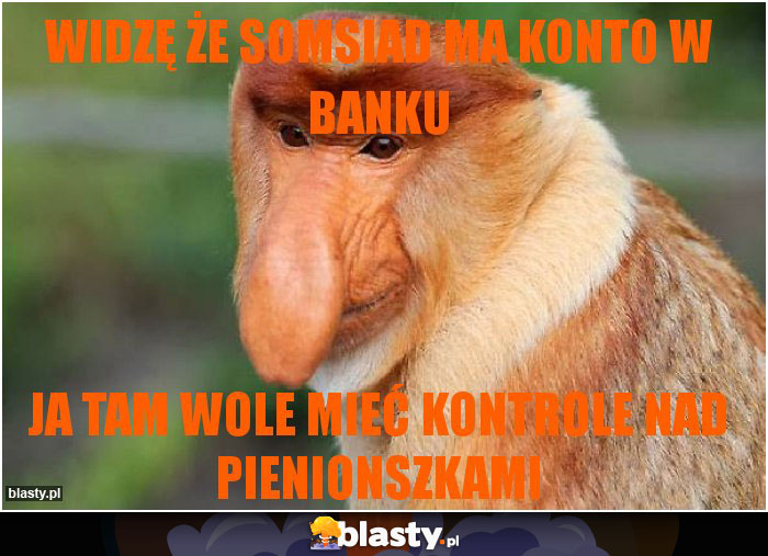 WIDZĘ ŻE SOMSIAD MA KONTO W BANKU WIDZĘ ŻE SOMSIAD MA KONTO W BANKU