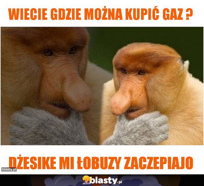 Wiecie gdzie można kupić gaz ? Wiecie gdzie można kupić gaz ?