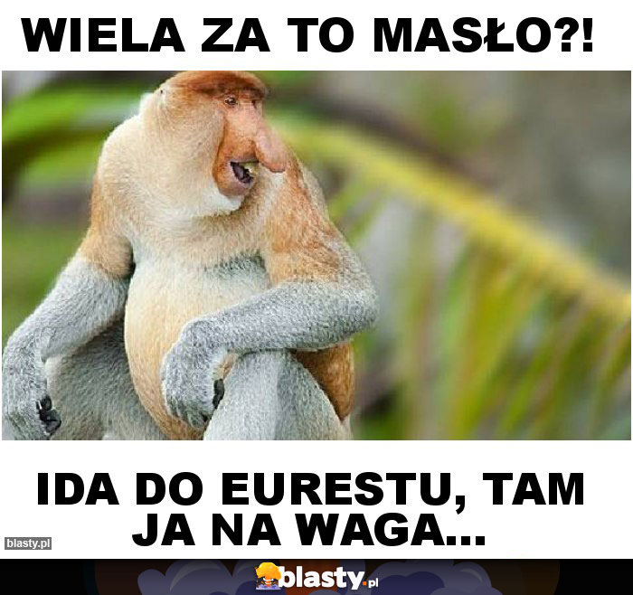 Wiela za to masło?! Wiela za to masło?!