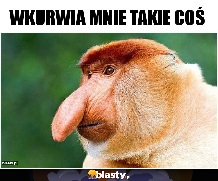 Wkurwia mnie takie coś Wkurwia mnie takie coś