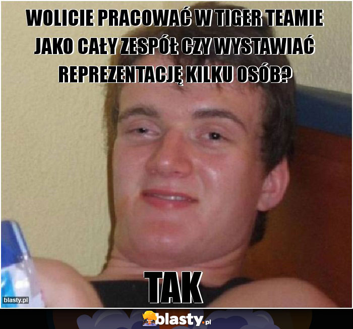 Wolicie pracować w Tiger Teamie jako cały zespół czy wystawiać reprezentację kilku osób? Wolicie pracować w Tiger Teamie jako cały zespół czy wystawiać reprezentację kilku osób?