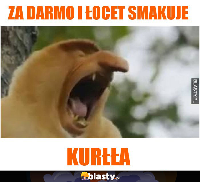 Za darmo i łocet smakuje Za darmo i łocet smakuje