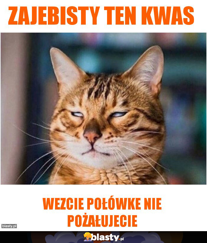 Zajebisty ten kwas Zajebisty ten kwas