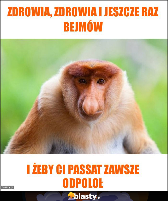 Zdrowia, zdrowia i jeszcze raz bejmów Zdrowia, zdrowia i jeszcze raz bejmów