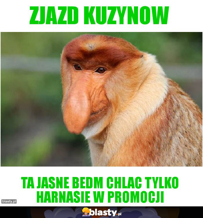 Zjazd kuzynow Zjazd kuzynow