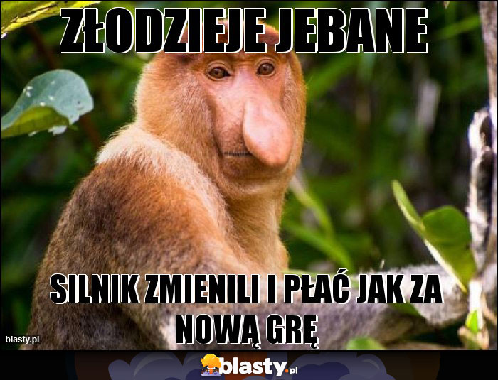 Złodzieje jebane Złodzieje jebane