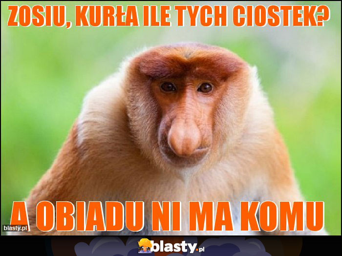 Zosiu, kurła ile tych ciostek? Zosiu, kurła ile tych ciostek?