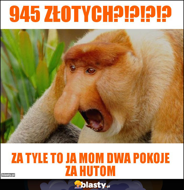 945 złotych?!?!?!? 945 złotych?!?!?!?