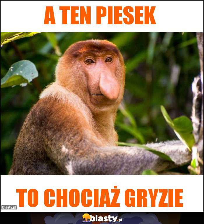 A ten piesek A ten piesek