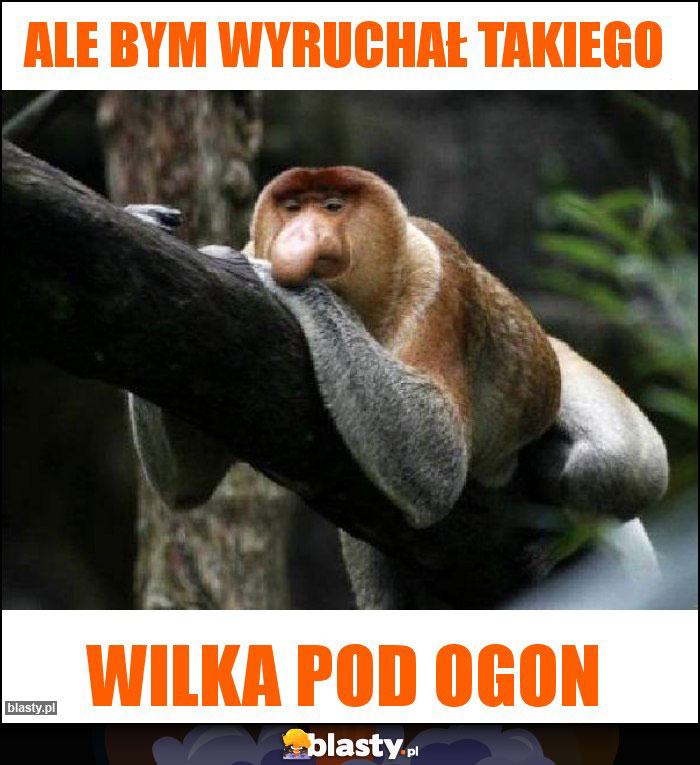 Ale bym wyruchał takiego Ale bym wyruchał takiego