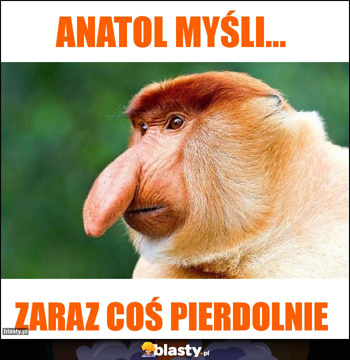 Anatol myśli...