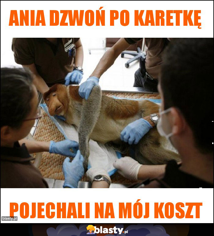 Ania dzwoń po karetkę Ania dzwoń po karetkę