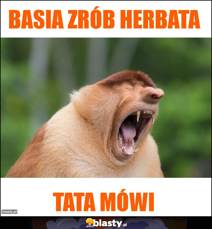 Basia zrób herbata Basia zrób herbata