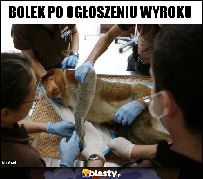 Bolek po ogłoszeniu wyroku Bolek po ogłoszeniu wyroku