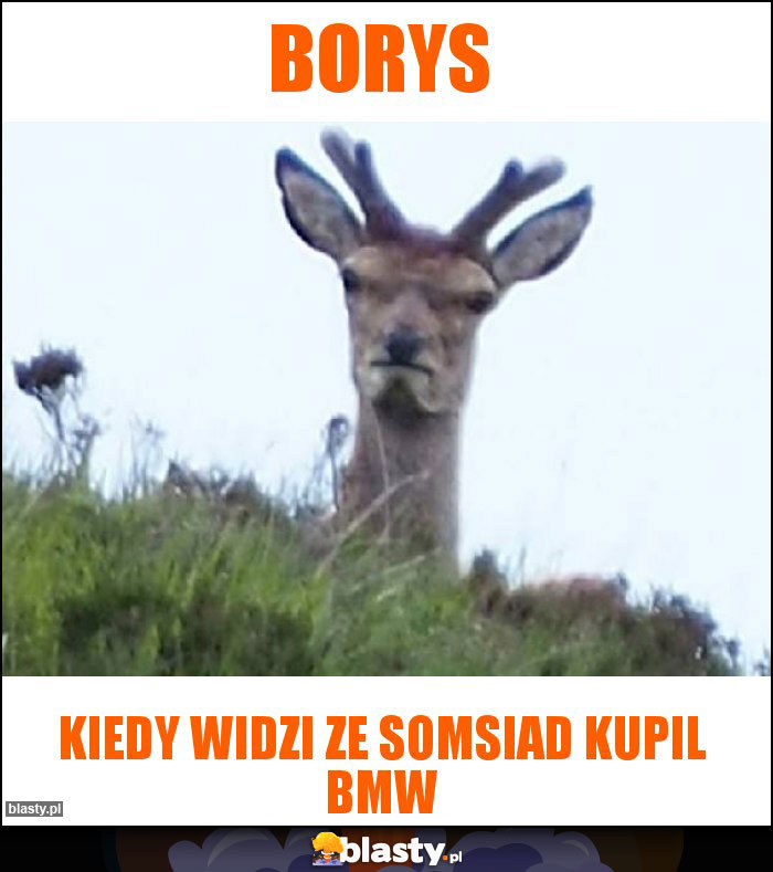 Borys