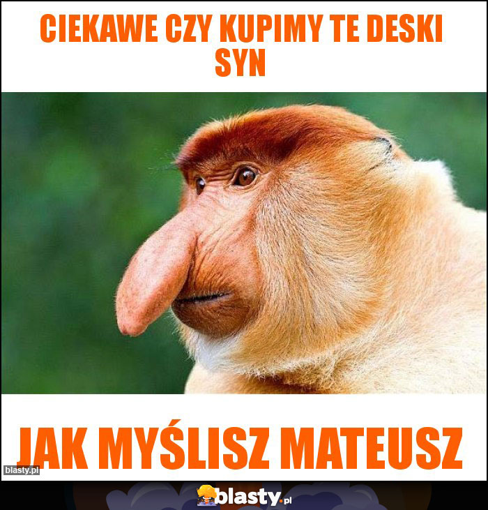 Ciekawe czy kupimy te deski syn Ciekawe czy kupimy te deski syn