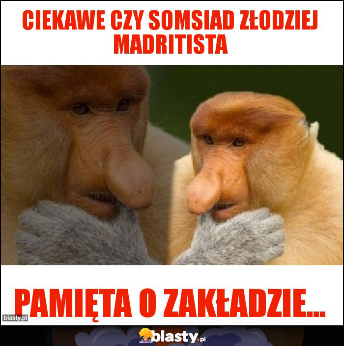 Ciekawe czy somsiad złodziej madritista Ciekawe czy somsiad złodziej madritista