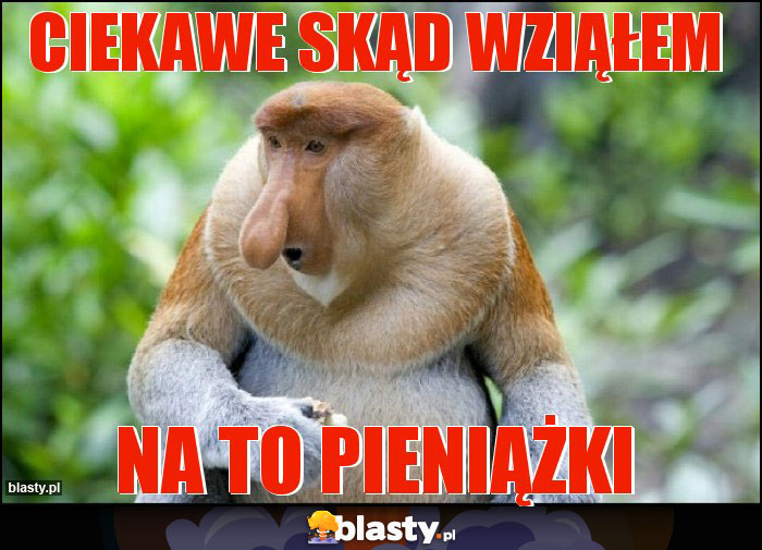 Ciekawe skąd wziąłem Ciekawe skąd wziąłem