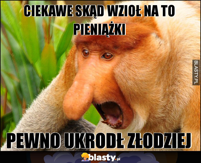 CIEKAWE SKĄD WZIOŁ NA TO PIENIĄŻKI