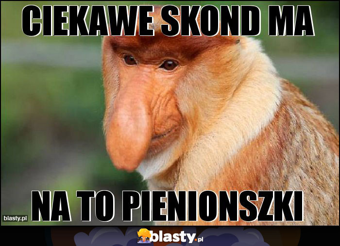 CIEKAWE SKOND MA CIEKAWE SKOND MA