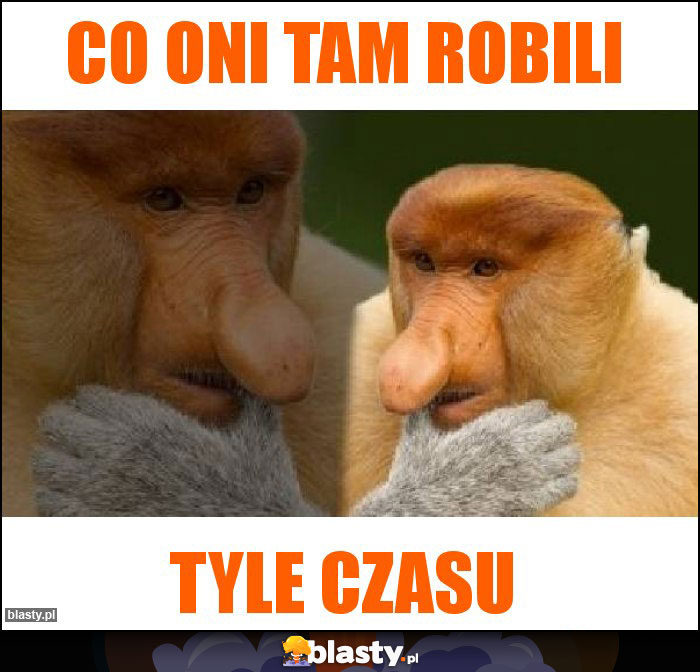 co oni tam robili co oni tam robili