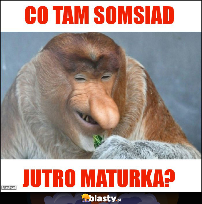 CO TAM SOMSIAD CO TAM SOMSIAD