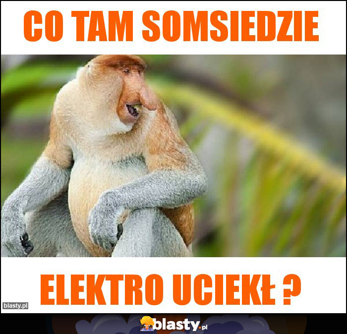 CO TAM SOMSIEDZIE CO TAM SOMSIEDZIE
