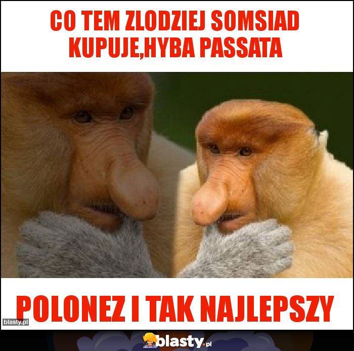 co tem zlodziej somsiad kupuje,hyba passata co tem zlodziej somsiad kupuje,hyba passata
