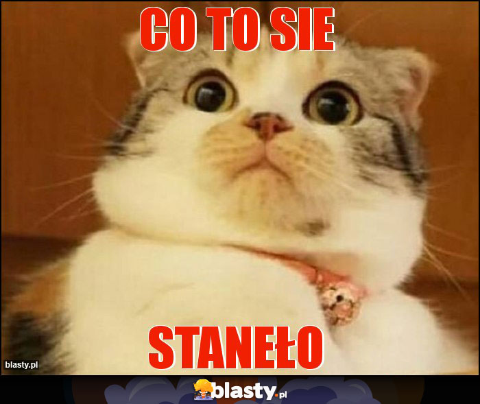 Co to sie