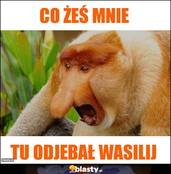 Co żeś mnie Co żeś mnie